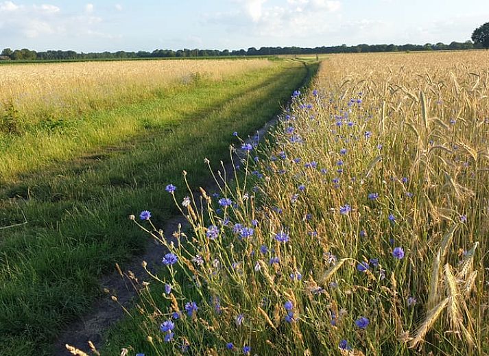 Eenpersoonskamer in Vakantiehuisje in Ruinen, Zuidwest Drenthe, ideaal voor een ontspannen verblijf.