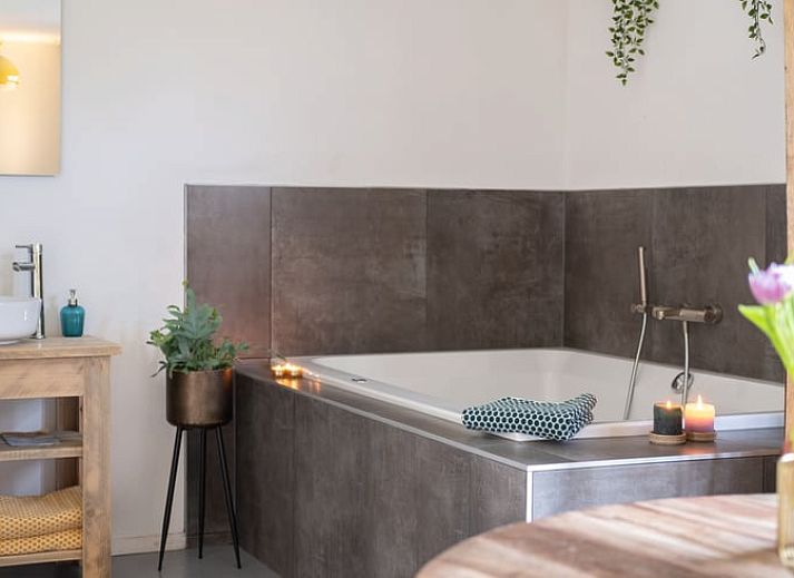 Huisje in Ruinen, ein charmantes Ferienhaus im Suedwesten von Drenthe, bietet eine schoene Aussicht auf den gruenen Garten und die Umgebung.