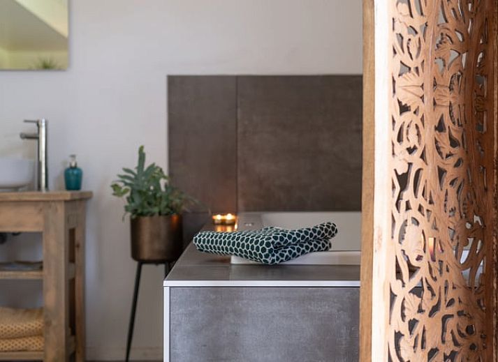 Entspannen Sie sich im Garten von Huisje in Ruinen, einem Ferienhaus im Suedwesten von Drenthe mit Haengematte und Terrasse inmitten gruener Natur.