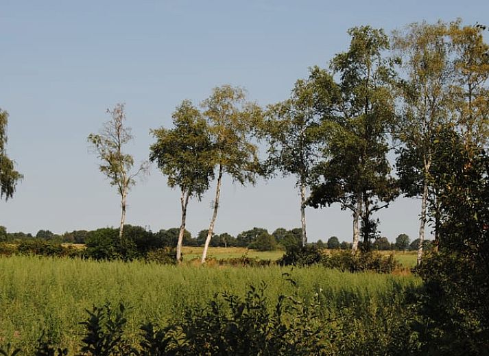 Guest house 200754 - Holiday property Zuidwest Drenthe - Vakantiehuis in Ruinen