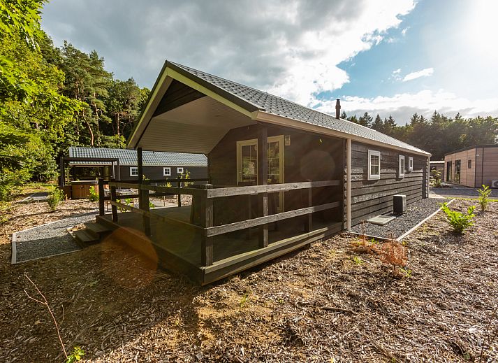 Unterkunft 200780 - Ferienhaus Zuidwest Drenthe - Heidelodge