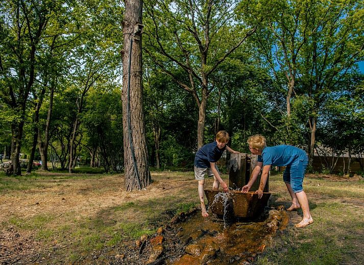 Unterkunft 200785 - Ferienhaus Zuidwest Drenthe - Solo Retreat