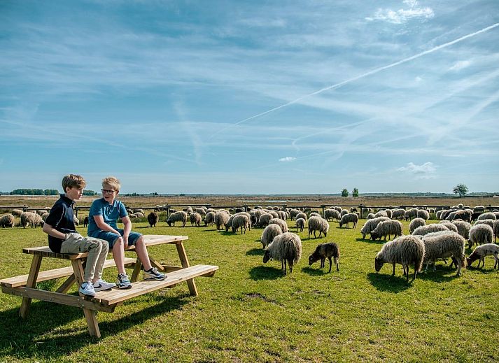 Unterkunft 200785 - Ferienhaus Zuidwest Drenthe - Solo Retreat