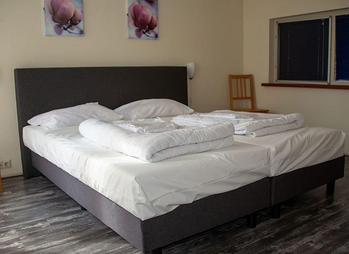 Unterkunft 200788 - Ferienhaus Zuidwest Drenthe - Vakantiehuis Vakantiepark De Wiltzangh - Familiehuis Wellnes