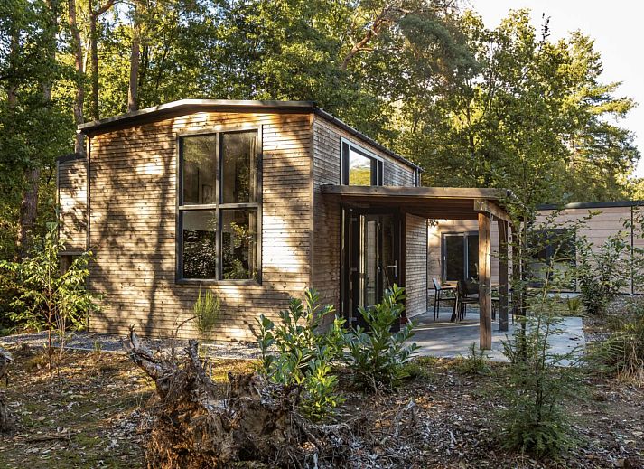 Guest house 200791 - Holiday property Zuidwest Drenthe - Vakantiehuis Vakantiepark De Wiltzangh - Tiny Borg 4p