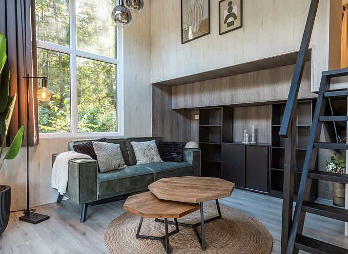 Guest house 200791 - Holiday property Zuidwest Drenthe - Vakantiehuis Vakantiepark De Wiltzangh - Tiny Borg 4p