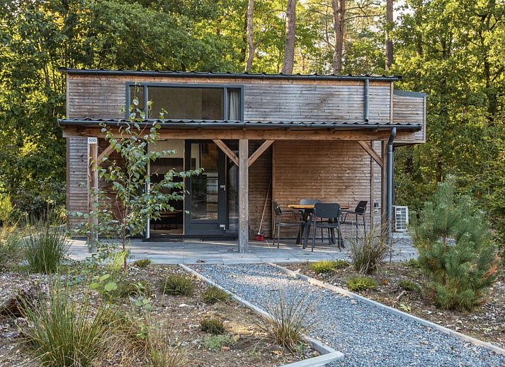 Guest house 200791 - Holiday property Zuidwest Drenthe - Vakantiehuis Vakantiepark De Wiltzangh - Tiny Borg 4p