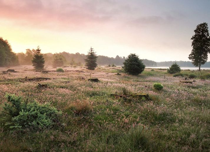 Guest house 200791 - Holiday property Zuidwest Drenthe - Vakantiehuis Vakantiepark De Wiltzangh - Tiny Borg 4p