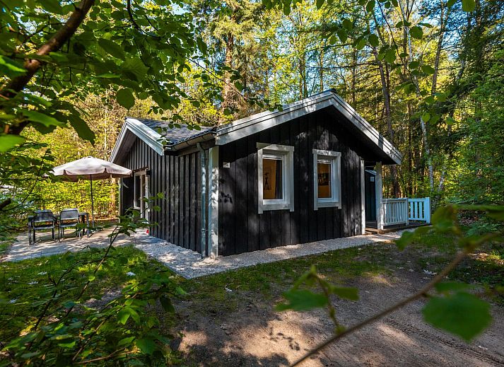 Guest house 200795 - Holiday property Zuidwest Drenthe - Vakantiehuis Vakantiepark De Wiltzangh - Houtenborg Lodge 4p