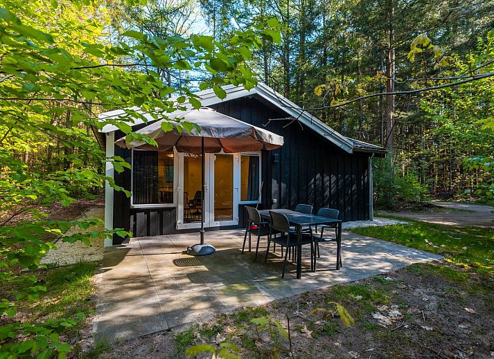 Guest house 200795 - Holiday property Zuidwest Drenthe - Vakantiehuis Vakantiepark De Wiltzangh - Houtenborg Lodge 4p