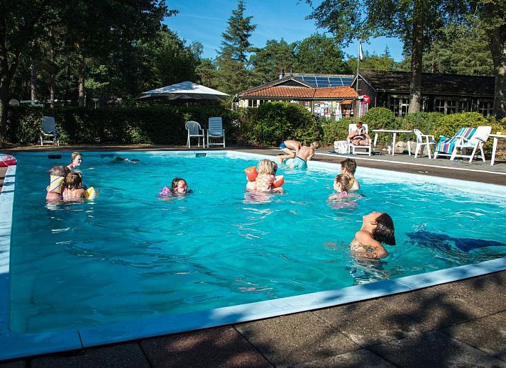 Guest house 200795 - Holiday property Zuidwest Drenthe - Vakantiehuis Vakantiepark De Wiltzangh - Houtenborg Lodge 4p