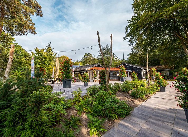 Guest house 200795 - Holiday property Zuidwest Drenthe - Vakantiehuis Vakantiepark De Wiltzangh - Houtenborg Lodge 4p