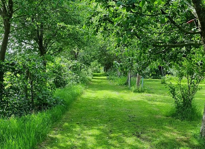 Guest house 200906 - Holiday property Zuidwest Drenthe - Vakantiehuis in Echten