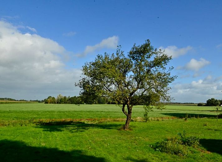 Guest house 201006 - Holiday property Zuidwest Drenthe - Huisje in Wapserveen