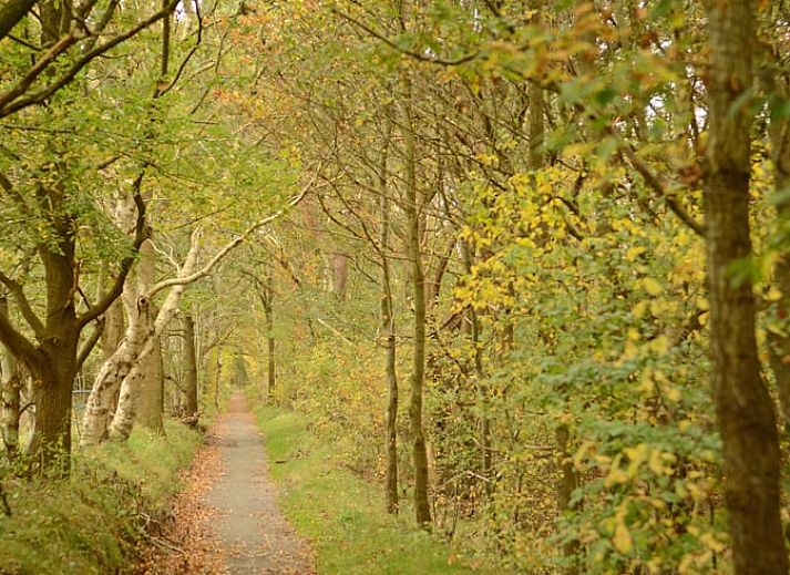 Guest house 201006 - Holiday property Zuidwest Drenthe - Huisje in Wapserveen