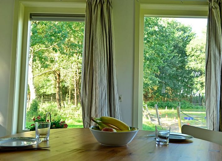 Guest house 201006 - Holiday property Zuidwest Drenthe - Huisje in Wapserveen