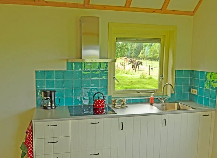 Guest house 201006 - Holiday property Zuidwest Drenthe - Huisje in Wapserveen