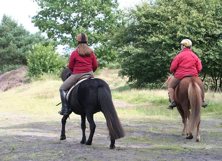 Guest house 201006 - Holiday property Zuidwest Drenthe - Huisje in Wapserveen
