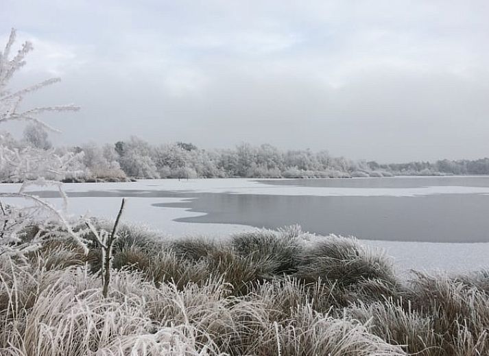 Guest house 201006 - Holiday property Zuidwest Drenthe - Huisje in Wapserveen