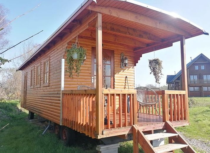 Gezellig vakantiehuis Huisje in Wapserveen met bloemenweide in Zuidwest Drenthe.