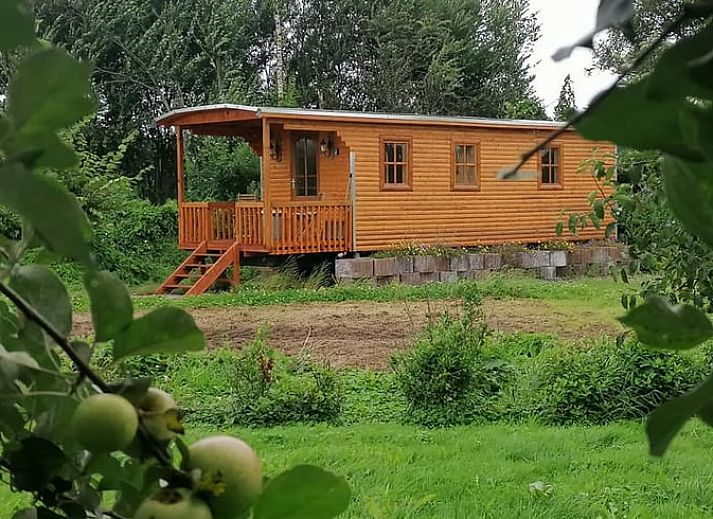 Charmante veranda van Huisje in Wapserveen, ideaal voor een ontspannen verblijf in Zuidwest Drenthe.
