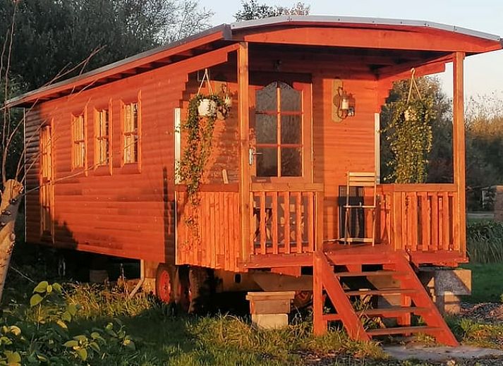 Charmante veranda van Huisje in Wapserveen, ideaal voor een ontspannen verblijf in Zuidwest Drenthe.