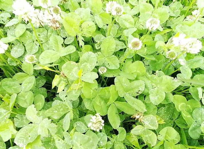 Knusse binnenruimte van Huisje in Wapserveen, ideaal voor een gezellige vakantie in Zuidwest Drenthe.