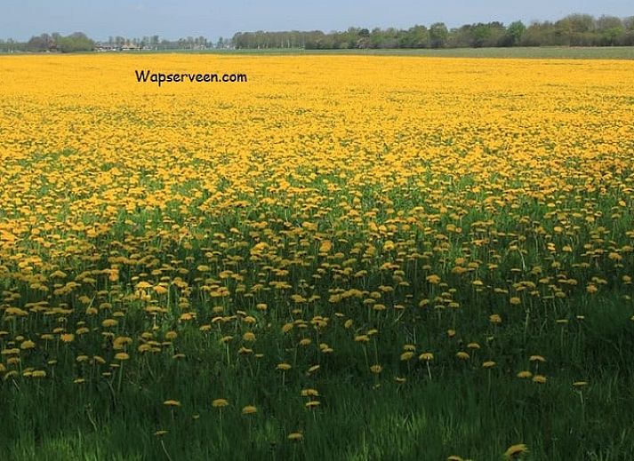 Knusse binnenruimte van Huisje in Wapserveen, ideaal voor een gezellige vakantie in Zuidwest Drenthe.