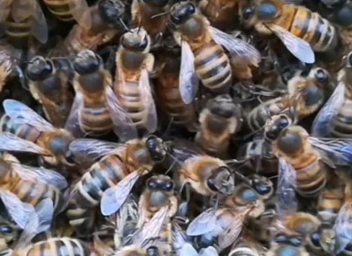 Knusse binnenruimte van Huisje in Wapserveen, ideaal voor een gezellige vakantie in Zuidwest Drenthe.
