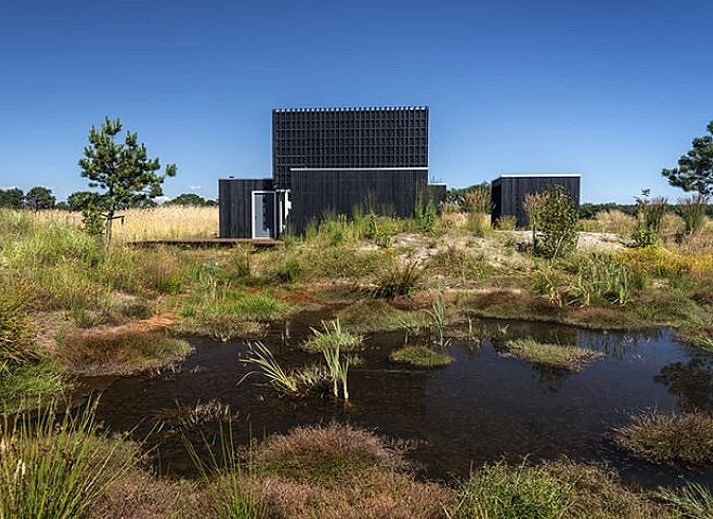 Huisje in Wapserveen omringd door natuur in Zuidwest Drenthe, vakantiehuis met prachtig landschap.