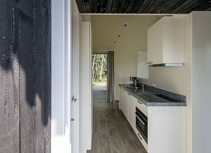 Bloemen en vlinders bij Huisje in Wapserveen, vakantiehuis in Zuidwest Drenthe, Drenthe.