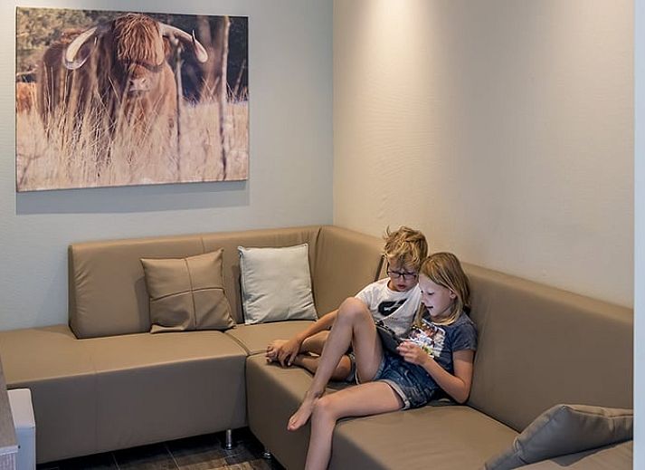 Bloemen en vlinders bij Huisje in Wapserveen, vakantiehuis in Zuidwest Drenthe, Drenthe.