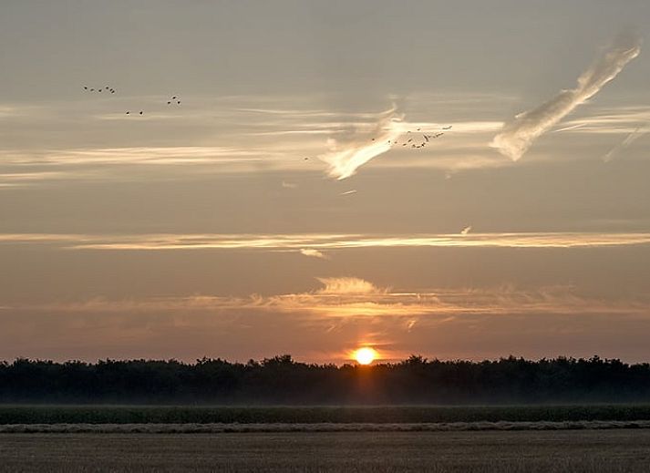Moderne eetruimte in Huisje in Wapserveen, vakantiehuis in Zuidwest Drenthe, Drenthe.