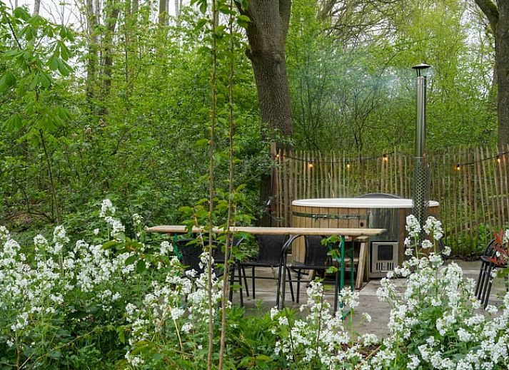 Gezellige woonkamer in Vakantiehuisje in Dwingeloo, Drenthe, met uitzicht op de natuurrijke omgeving.