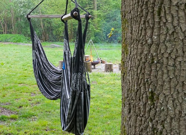 Eetruimte in Vakantiehuisje in Dwingeloo, Zuidwest Drenthe, met stijlvolle stoelen en zonnig uitzicht.