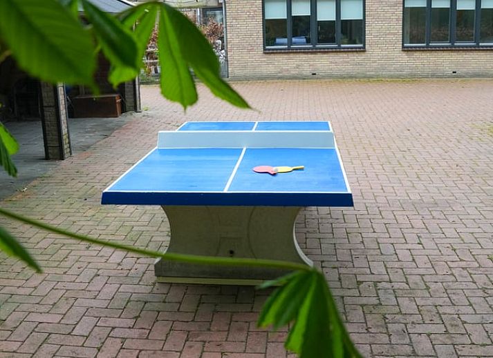 Ruim terras met picknicktafel en stoelen bij Vakantiehuisje in Dwingeloo, Zuidwest Drenthe.