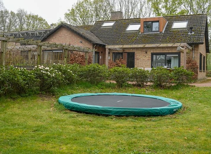 Buitenruimte met hot tub omgeven door groen bij Vakantiehuisje in Dwingeloo, Drenthe.