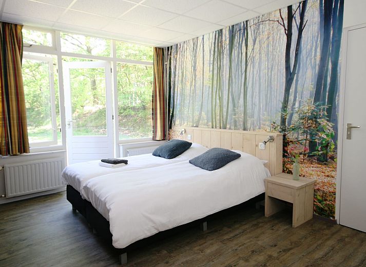 Ruime binnenruimte van Groepsaccommodatie de Komeet in Dwingeloo, Drenthe, met grote tafels en uitzicht op de groene omgeving.