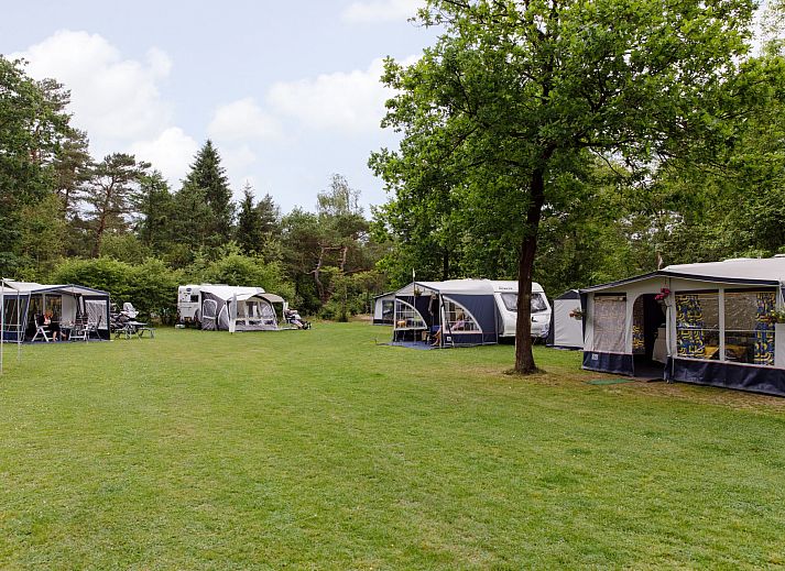 Geniet van de natuur op RCN de Noordster | Comfort kampeerplaats in Dwingeloo, Zuidwest Drenthe. Ruime tentplaatsen onder groene bomen.