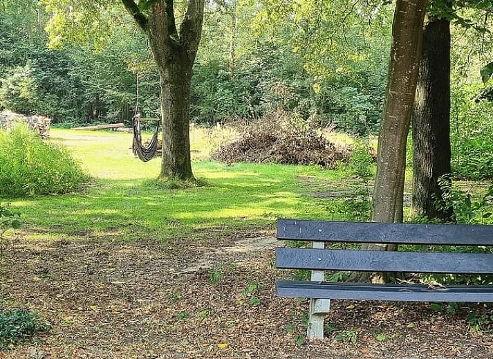 Buitenterras van Vakantiehuis in Dwingeloo, Zuidwest Drenthe, met comfortabele zitplaatsen en natuurlijke omgeving.