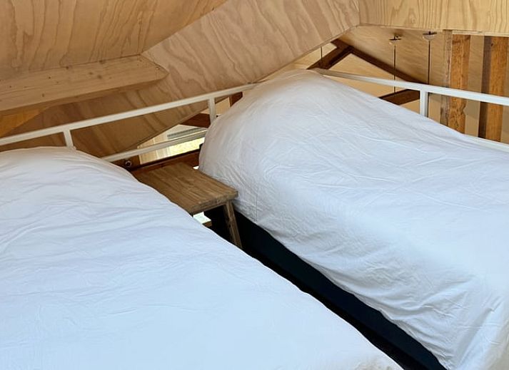 Buitenterras met bloemen in Vakantiehuis in Dwingeloo, Zuidwest Drenthe, omgeven door groene natuur.