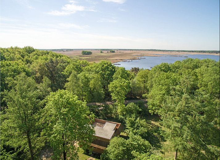 Enjoy a relaxing stay at the Heidelodge, a vacation home in Dwingeloo, Southwest Drenthe, surrounded by beautiful nature.