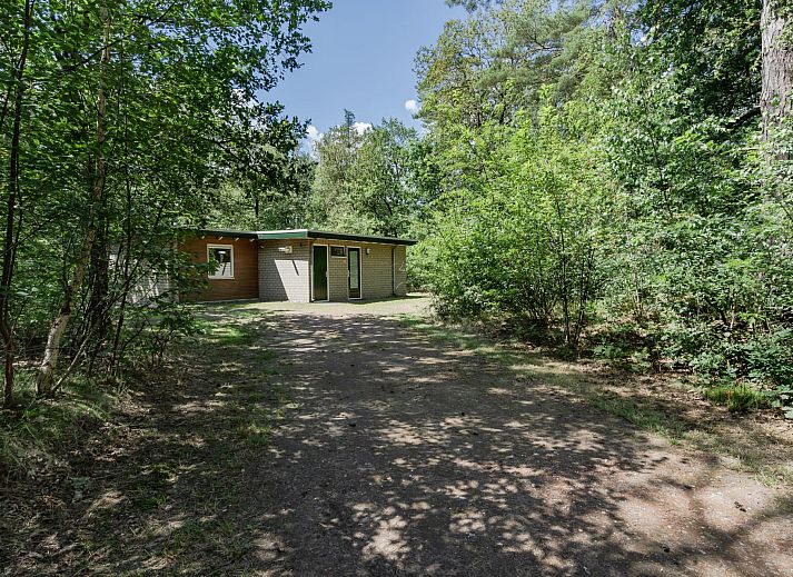 Gezellige woonkamer van Bungalow Mars in Dwingeloo, Zuidwest Drenthe, met uitzicht op terras en groene omgeving.