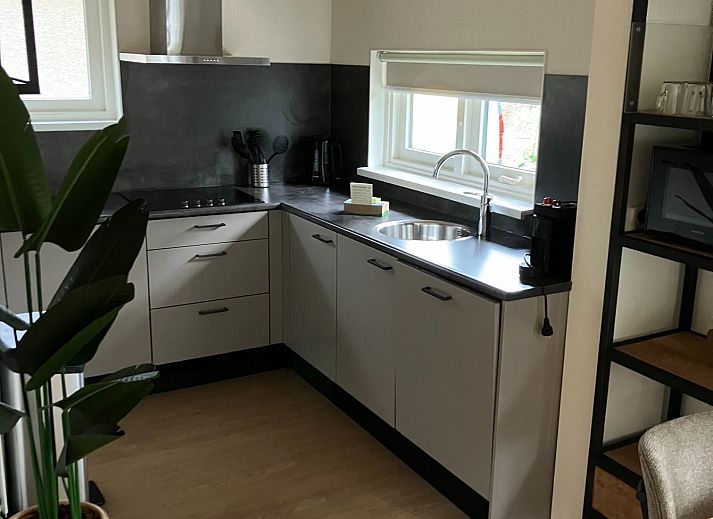 Bungalow Orion in Dwingeloo, Drenthe biedt een prachtige buitenruimte met terras en ligstoelen te midden van de natuur.