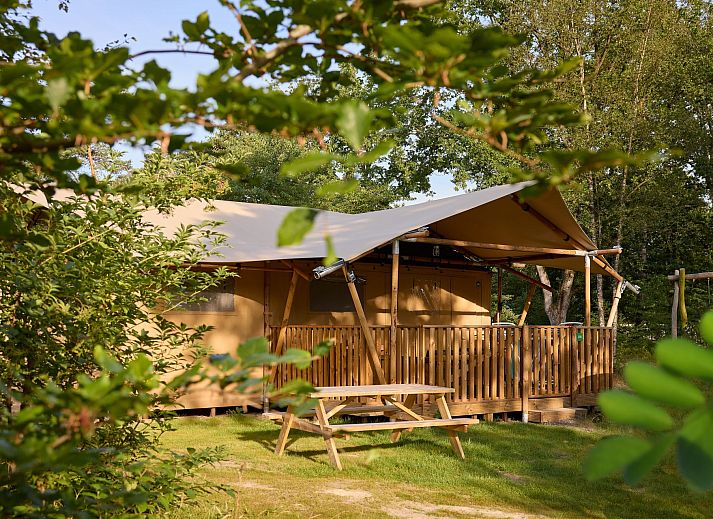 Veranda van Safaritent Ceres in Dwingeloo, Zuidwest Drenthe, met comfortabele zitplaatsen en uitzicht op de natuur.