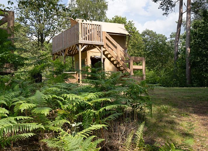 Guest house 201233 - Tent house Zuidwest Drenthe - Safaritent Poolster