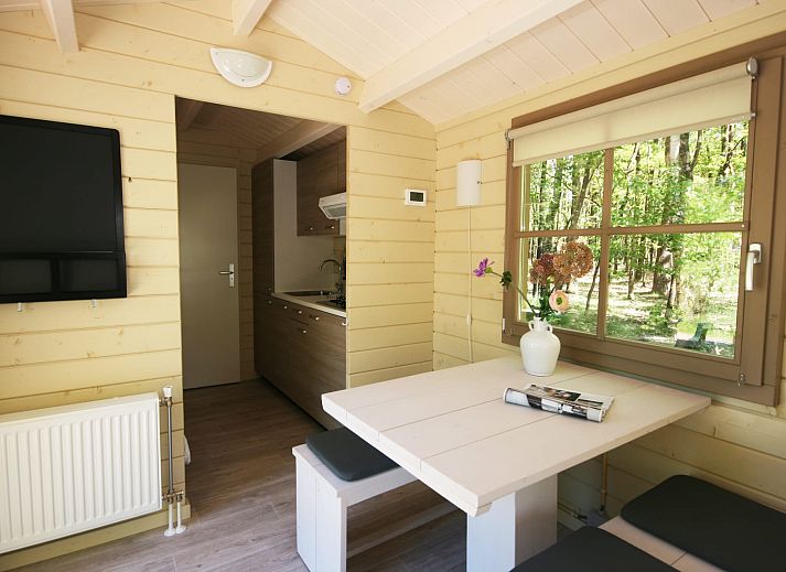 Kampeerchalet de Morgenster in Dwingeloo, Drenthe biedt een rustieke buitenervaring met een terras omgeven door natuur.