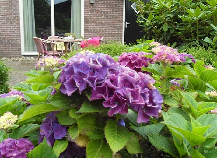 Verblijf 201246 • Vakantiewoning Zuidwest Drenthe • Huisje in Dwingeloo 