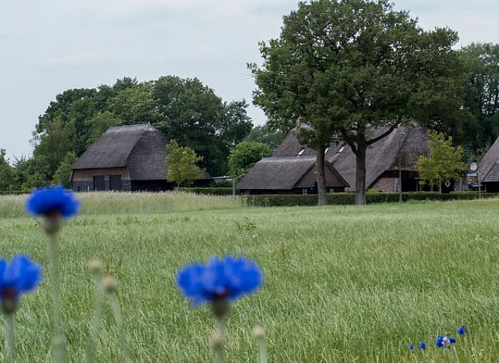 Verblijf 201252 • Vakantiewoning Zuidwest Drenthe • Vakantiehuis in Dwingeloo