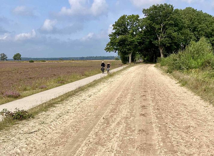 Charmant terras van vakantiehuis DG603 in Dwingeloo, Zuidwest Drenthe, met uitzicht op groene tuinen.